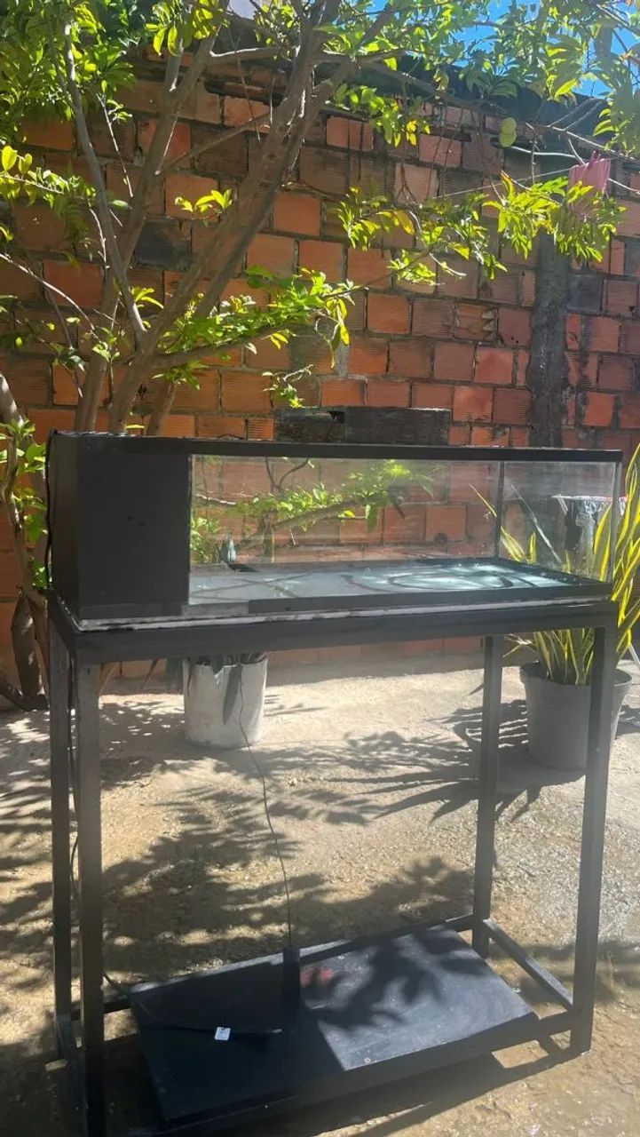 Aquário de 50L - Foto 2