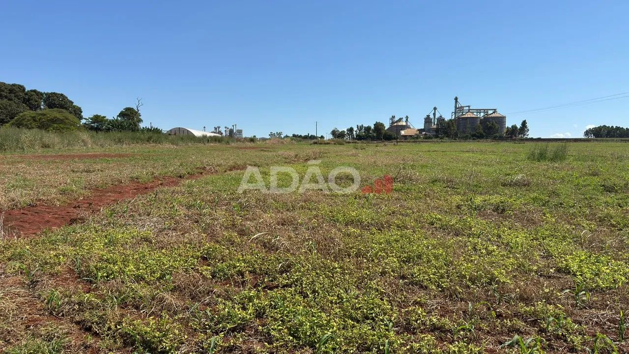 Area de 30.000m² em Jataí - Foto 5