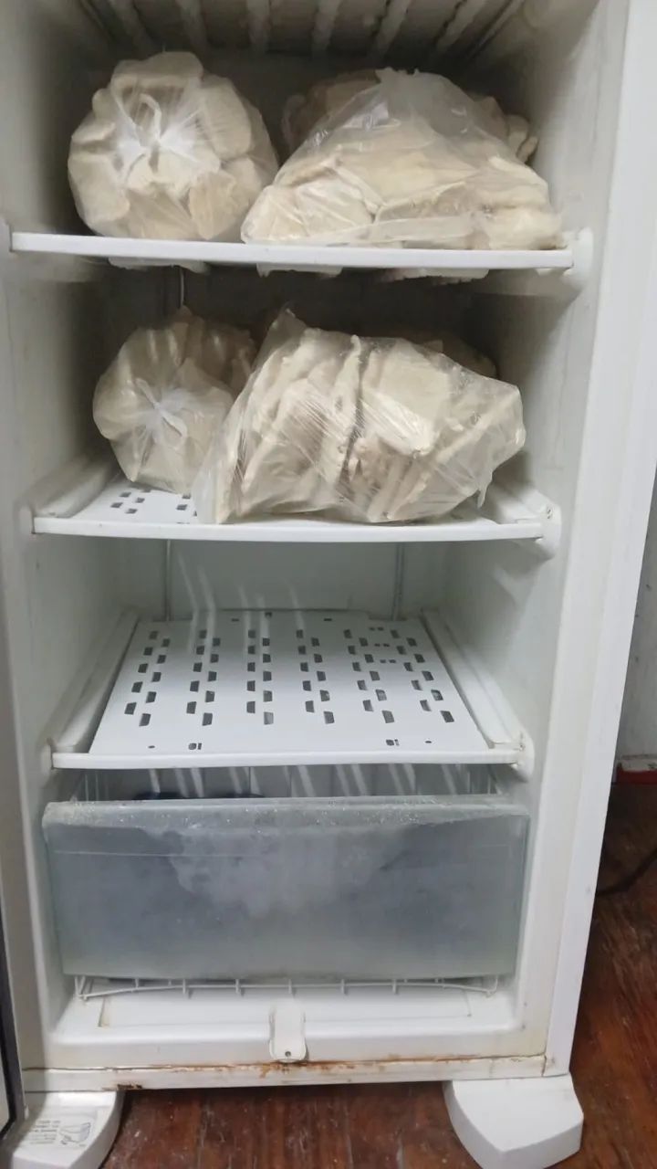 Freezer Electrolux  - Foto 2