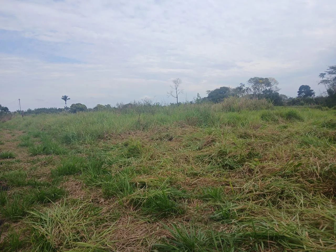 Terreno no polo Benfica vila acre  - Foto 4