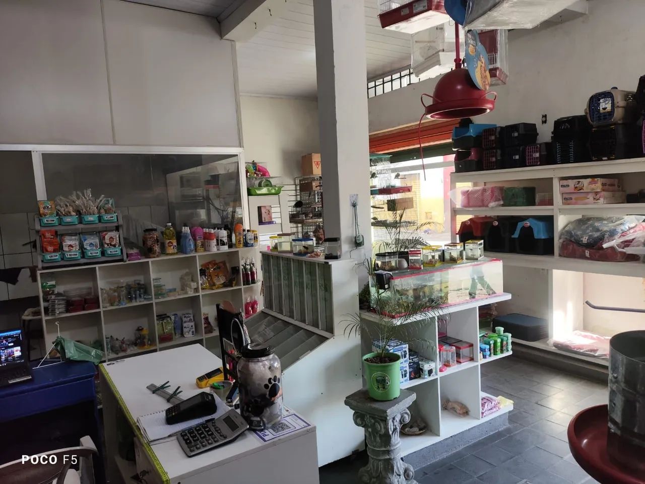 PET SHOP À VENDA  - Foto 5