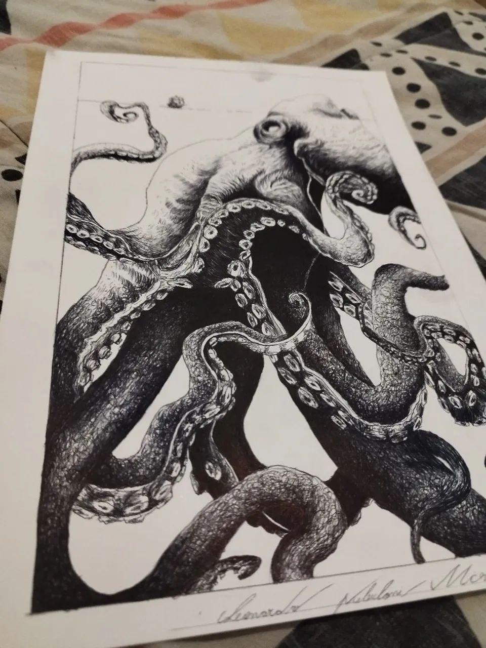 Desenho realista polvo gigante, totalmente feito a caneta - Foto 2