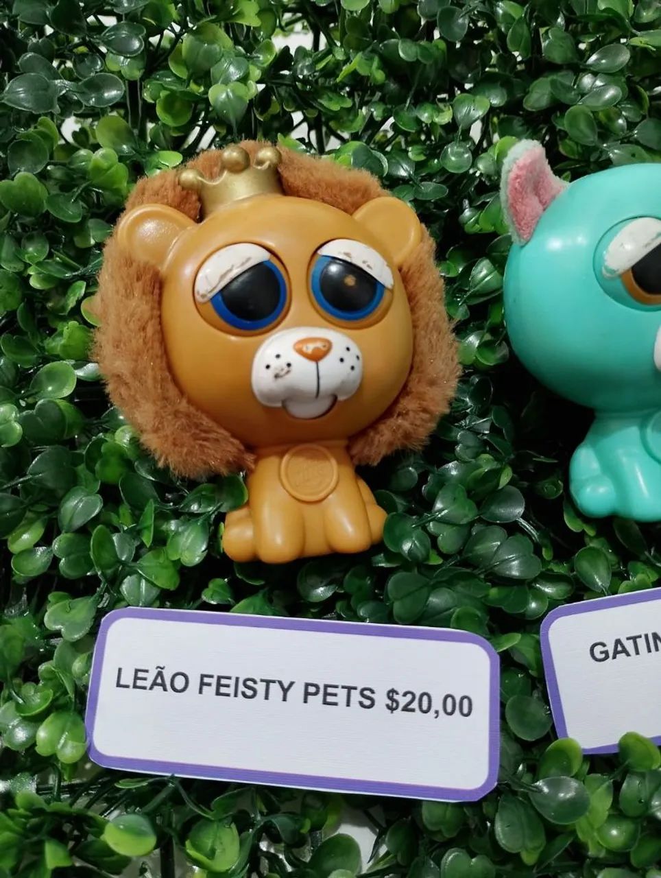 Miniatiras Feisty Petes - Foto 2