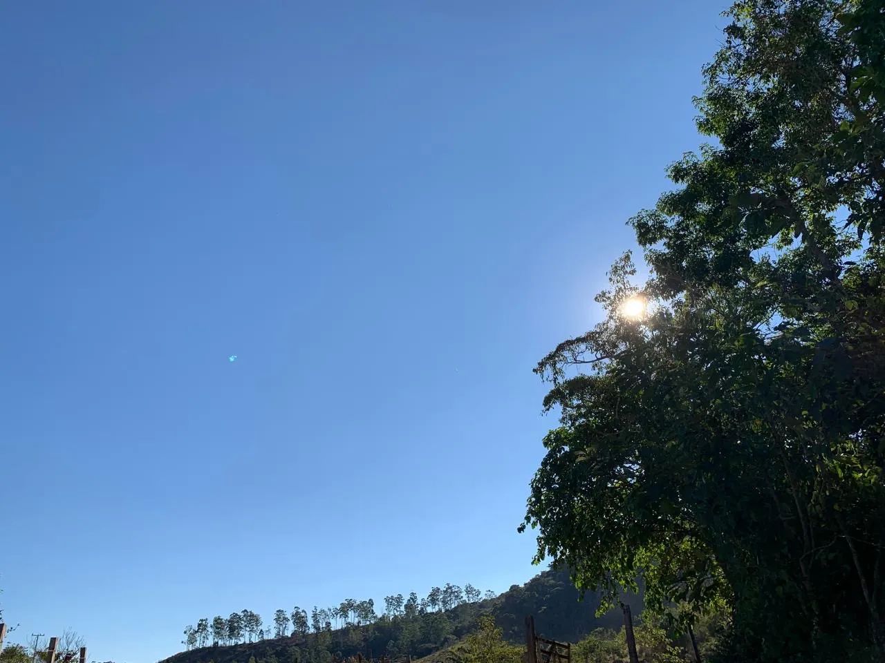 Granja no Piau divisa com Goianá  - Foto 4