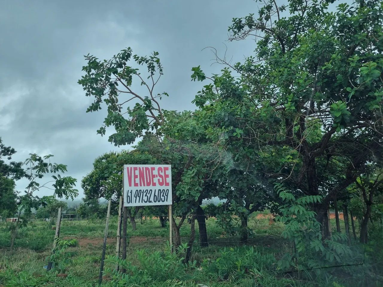 Venda terreno/chacar - Foto 4