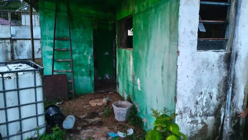 Alugo - Foto 3