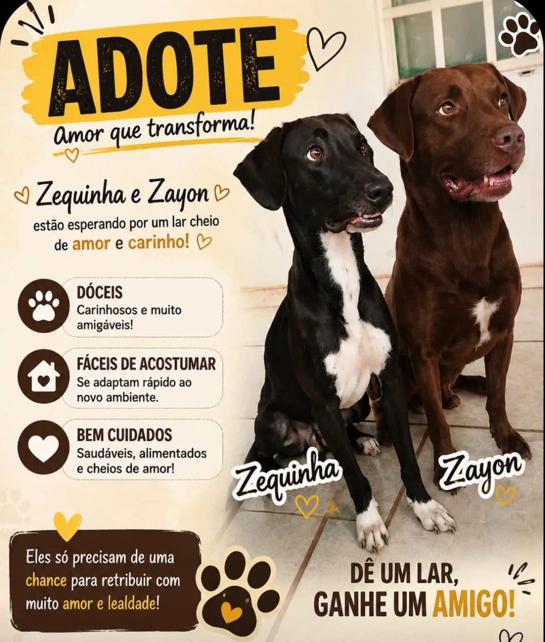 Doa sim pets de raça  - Foto 2