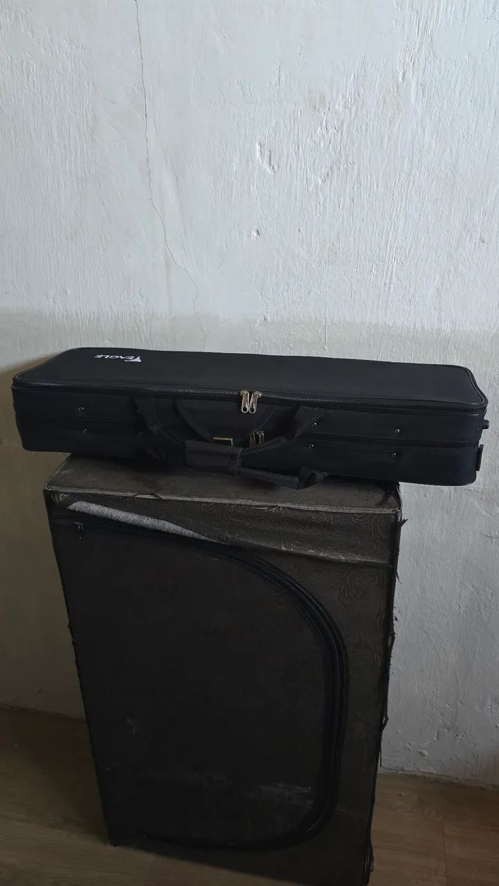 Violino Eagle 4/4 VE441 - Foto 3