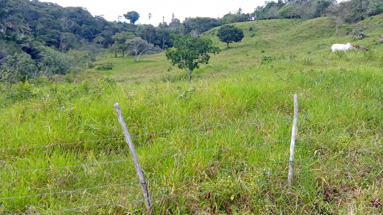 Vende-se terreno  - Foto 2