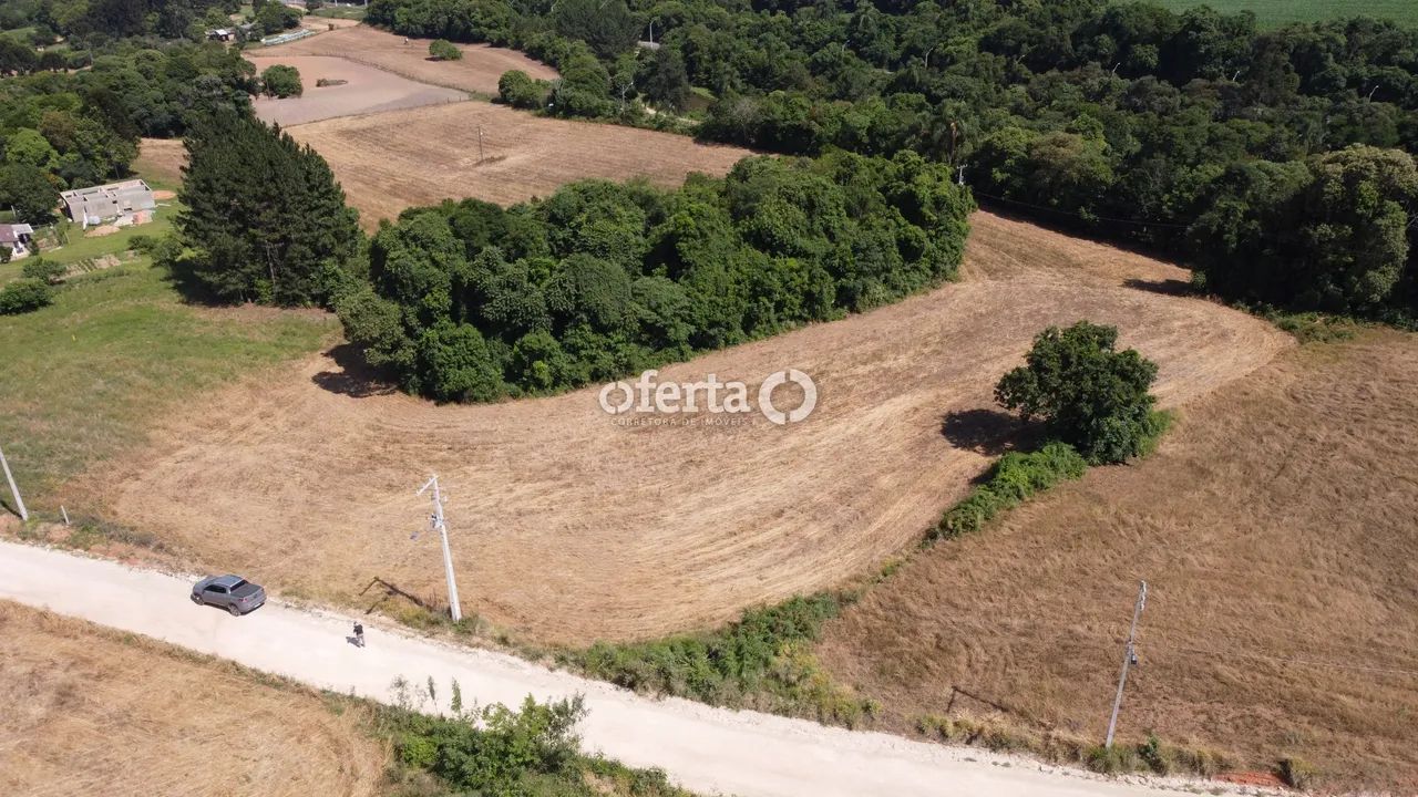 Terreno em Araucária - Foto 4