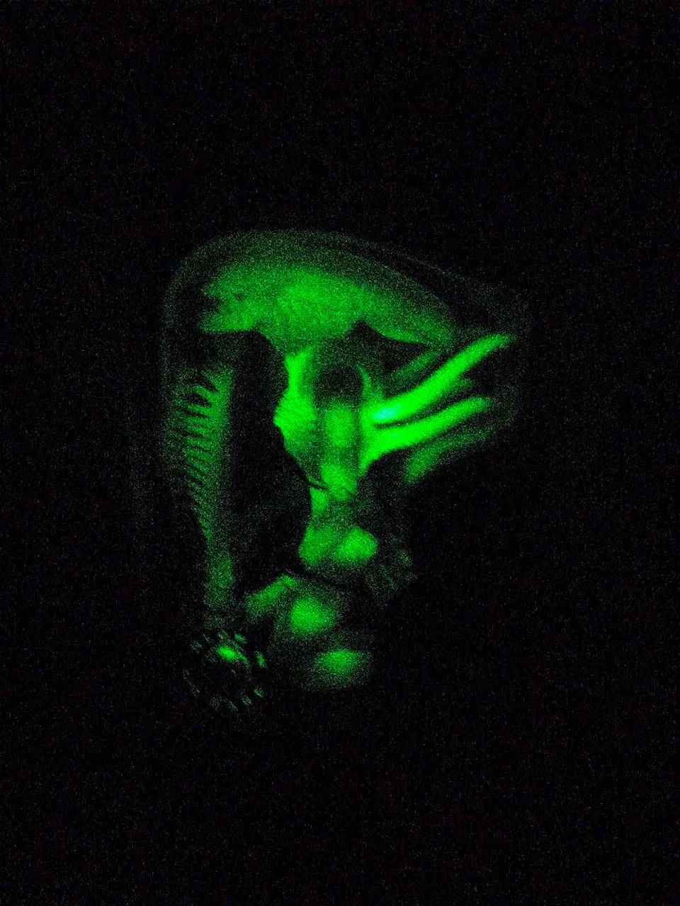 Alien Thermal Vision Warrior neca action figure Avp - Foto 2