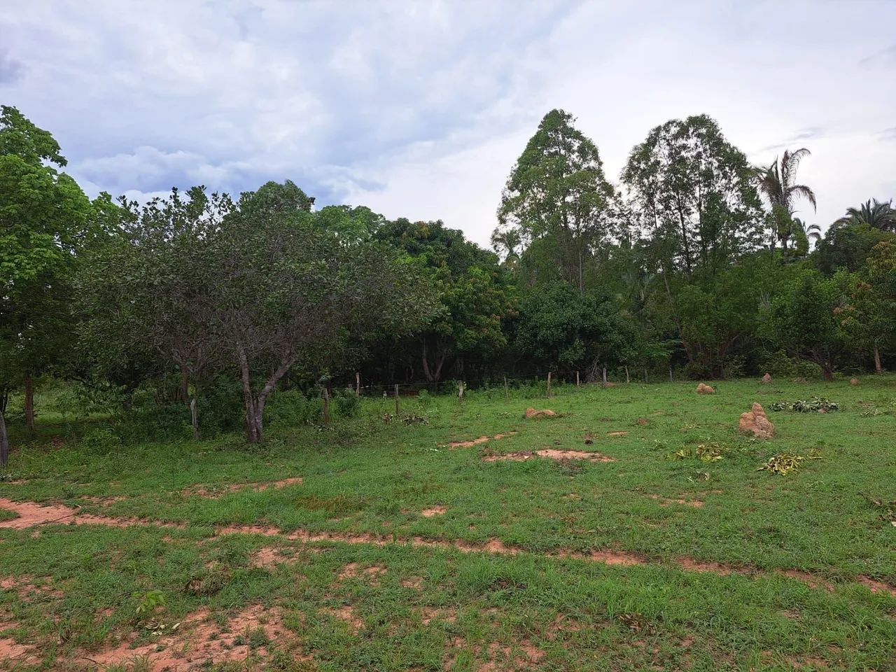 Chácara 30 hectares - Foto 4