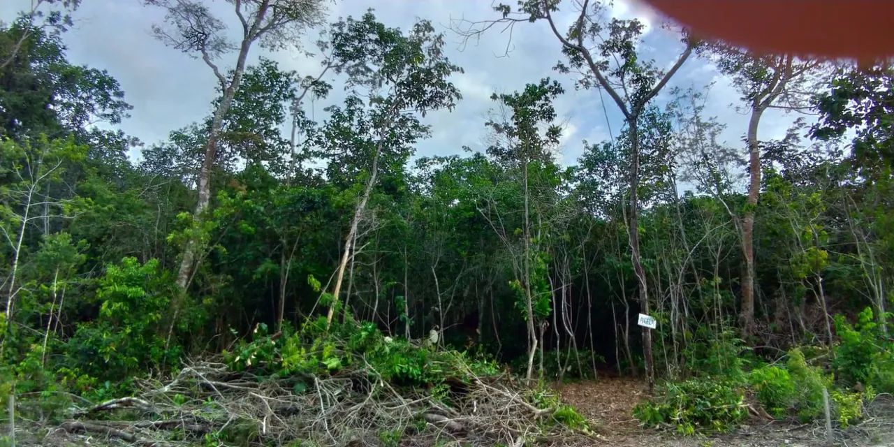 OPORTUNIDADE TERRENO NO PAJUÇARA  - Foto 4