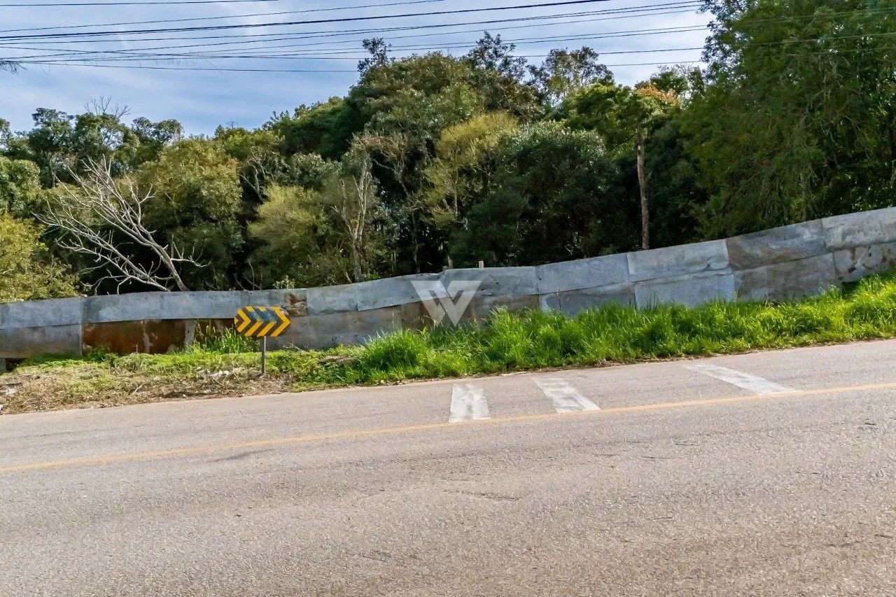 Terreno Parque Tangua Curitiba - Foto 4