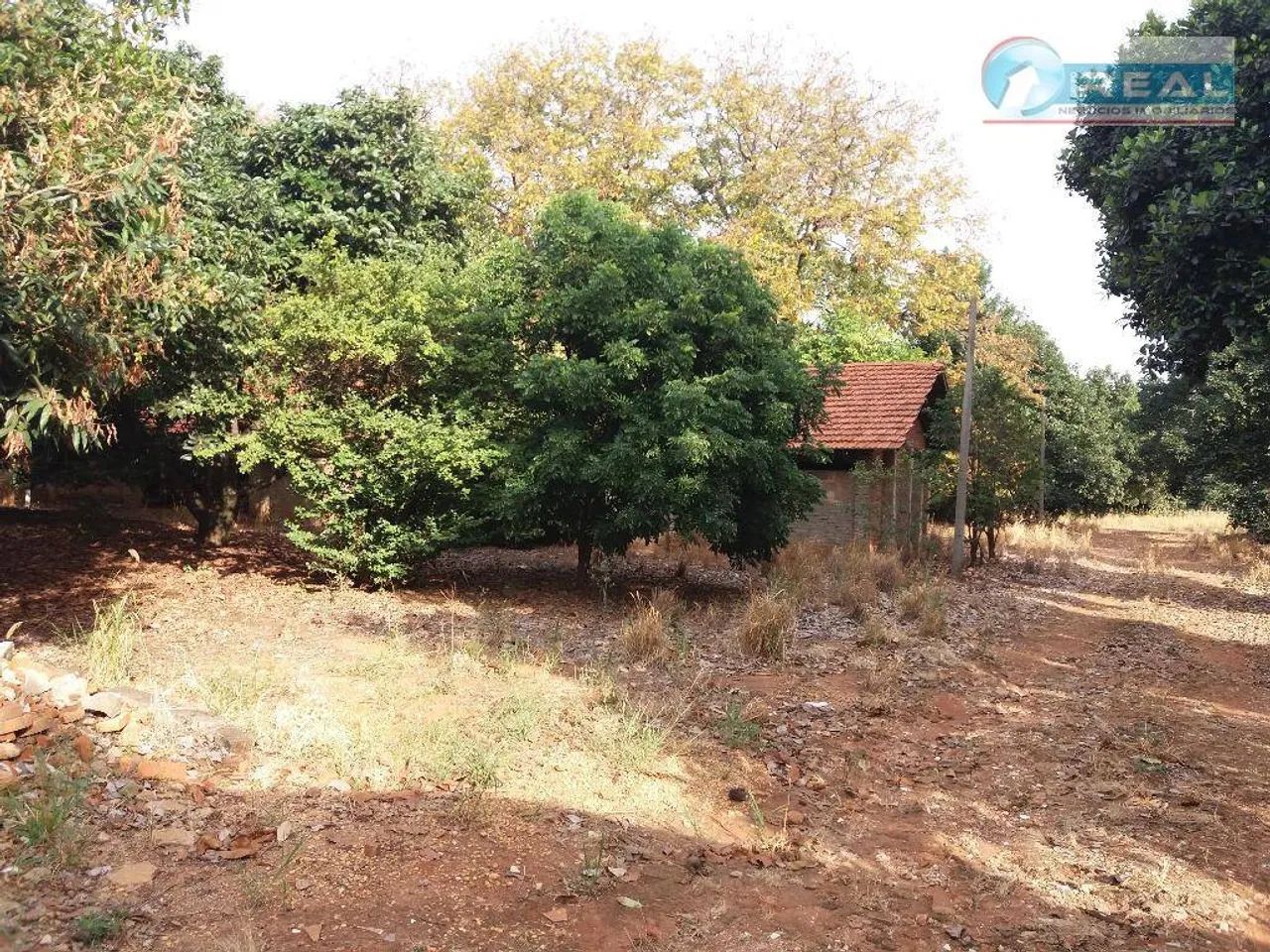 Chácara residencial à venda, Matão, Sumaré. - Foto 3