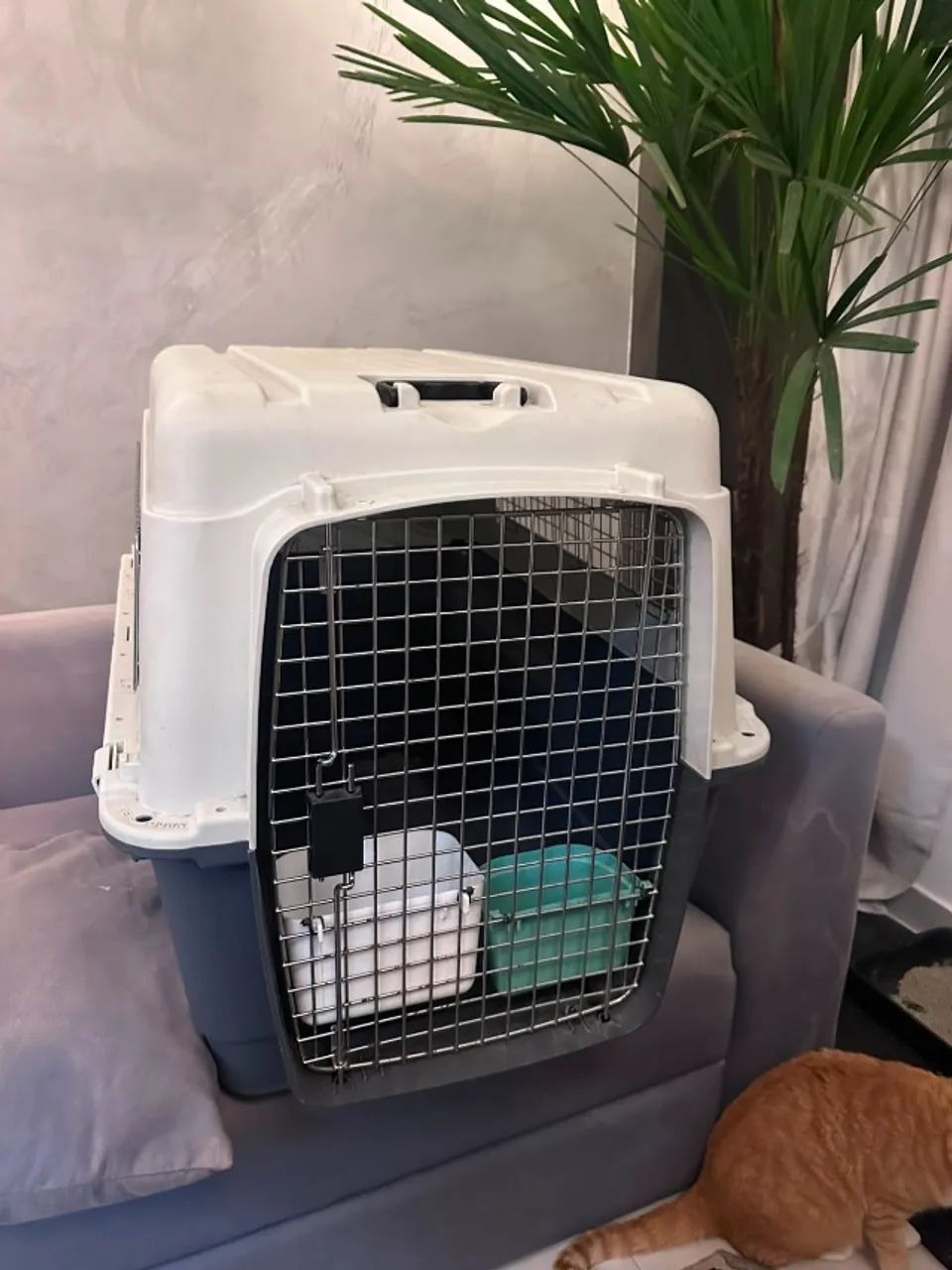 Caixa de Transporte para Cães e Gatos Gomoov G - Foto 2