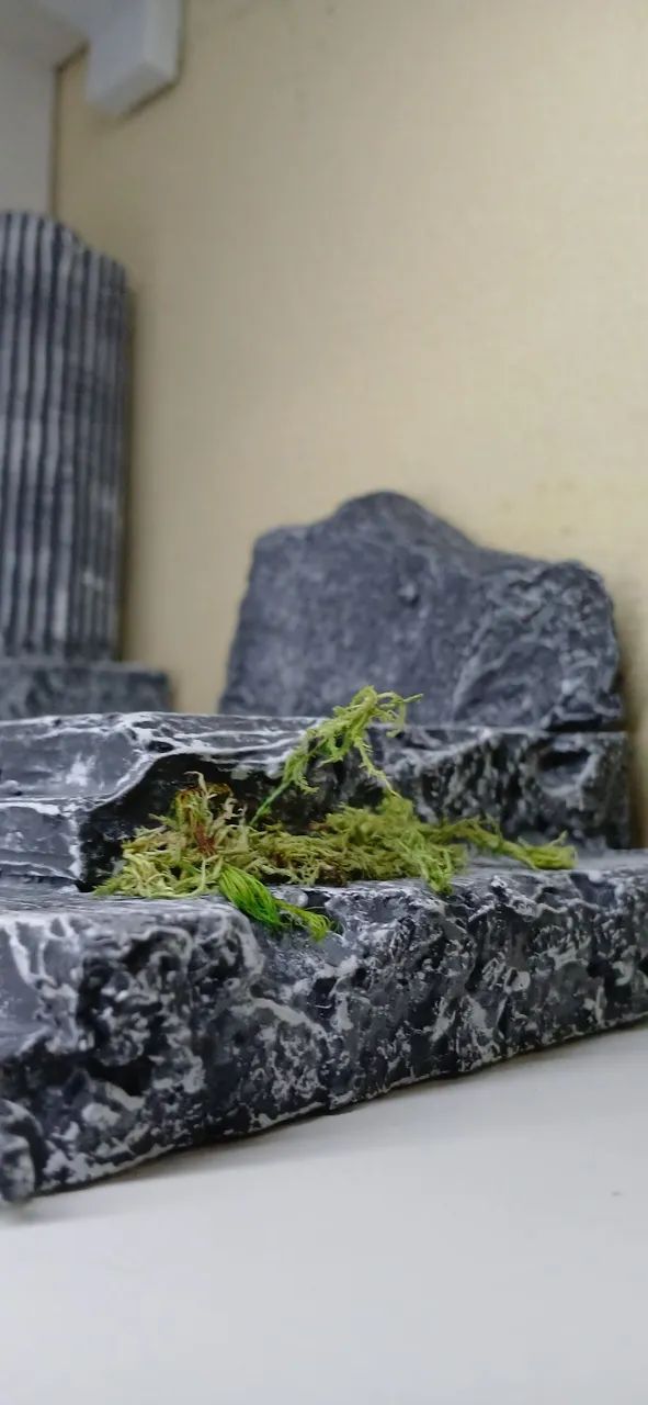 Diorama e cenario 1:12  cavaleiro do Zodíaco  - Foto 3