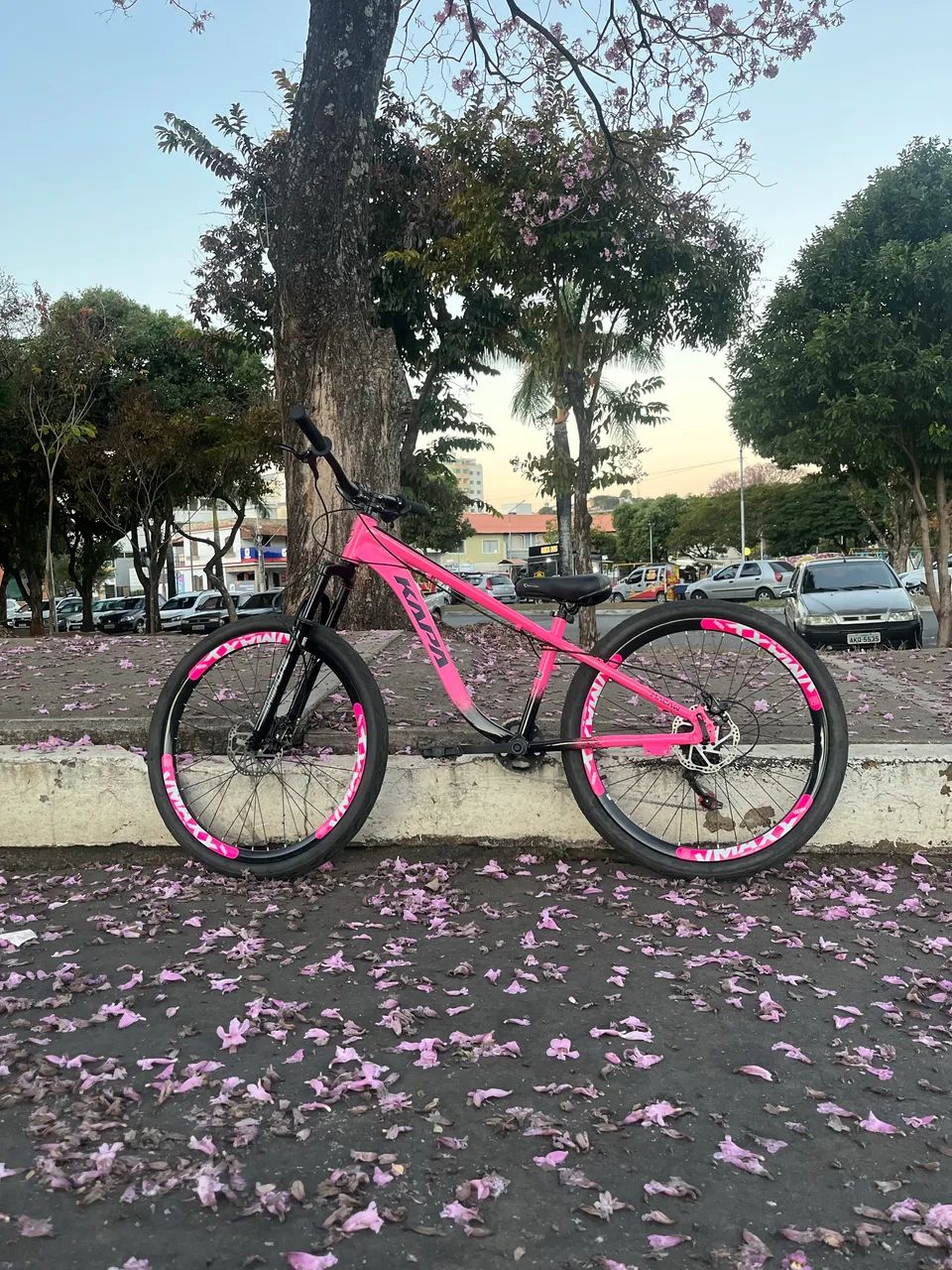 Bicicleta kapa aro 26