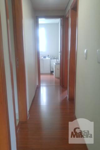 Apartamento à venda com 4 dormitórios em Buritis, Belo horizonte cod:222983 - Foto 5