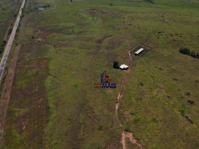 Fazenda na beira da BR 364 próximo à Cacoal - Foto 15