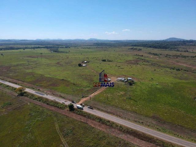 Fazenda na beira da BR 364 próximo à Cacoal - Foto 16