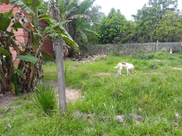 Vende - se um terreno 15 por 15 barato 5 milll - Foto 3