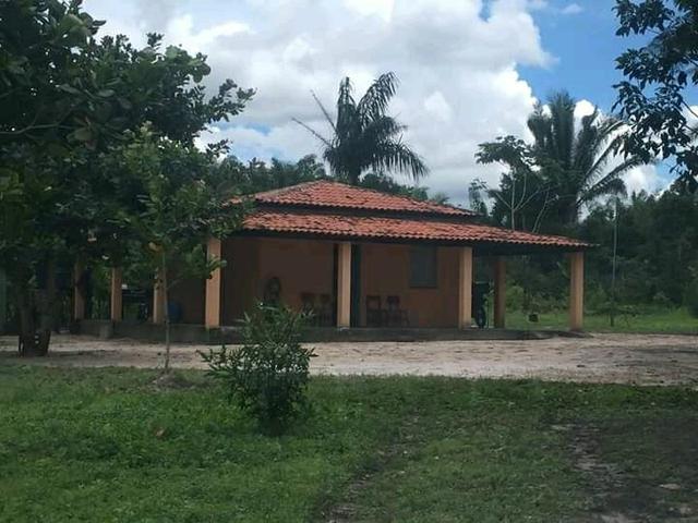 Fazenda em Governador Nunes Freire