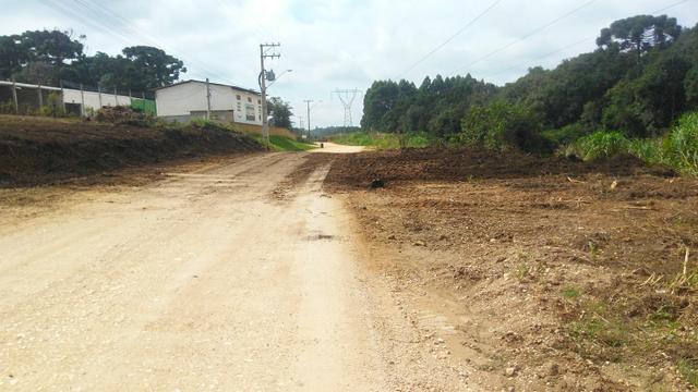 Terreno para aluguel em colombo - Foto 3