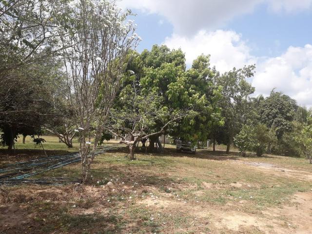 Fazenda em Santa Rita parcelada sem juros - Foto 3