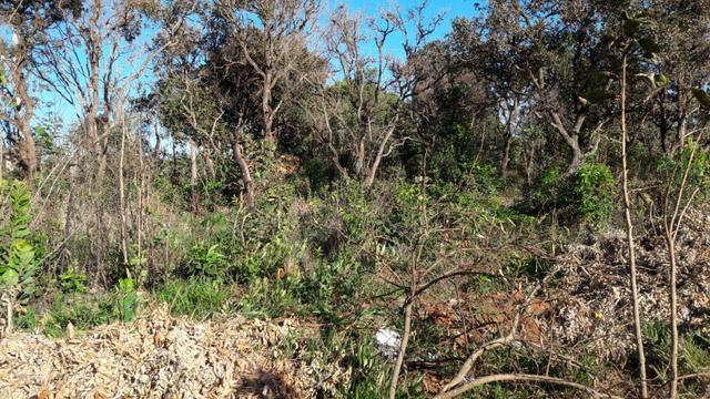 Terreno quitado 15 x 40 b. jardim atlantico ( 16.000,00 )