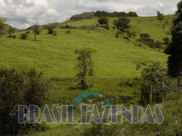 Fazenda em Itamaraju. Jucuruçu - Foto 2