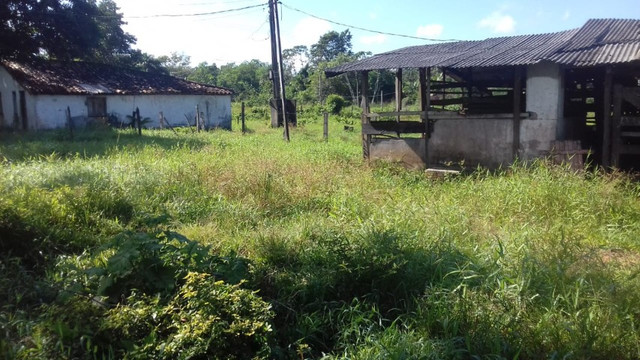 Sítio no Pará,20 hectares com pasto, curral, casa ,igarape por 250 mil reais - Foto 8