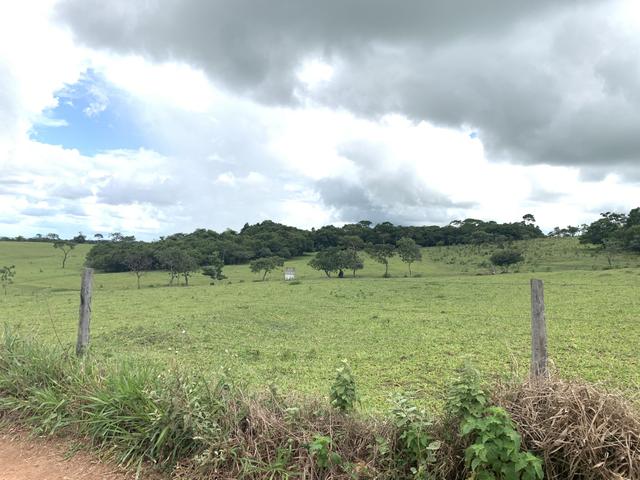 Fazenda 20 alqueires em Piracanjuba - Foto 15