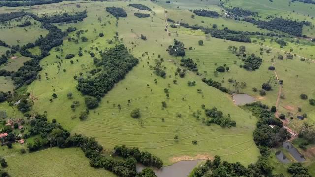 Fazenda 20 alqueires em Piracanjuba - Foto 2