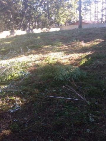 TERRENO RESIDENCIAL À VENDA, PINHEIRINHO, CURITIBA - TE0173. - Foto 3