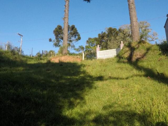 Chácara nà venda - barro preto - são josé dos pinhais/pr - Foto 10