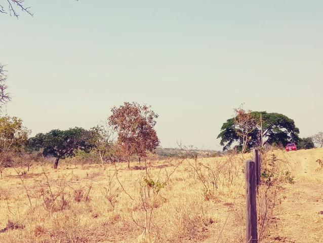 Fazenda de 51 alqueires para pecuária na região de Ipameri GO - Foto 3