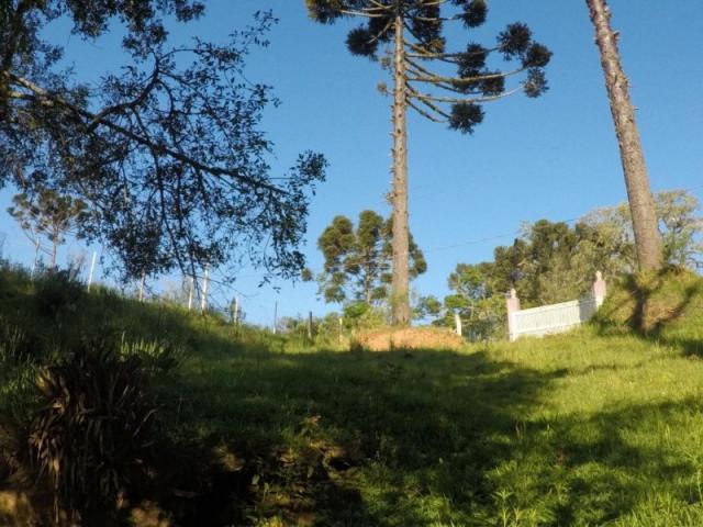 Chácara nà venda - barro preto - são josé dos pinhais/pr - Foto 15