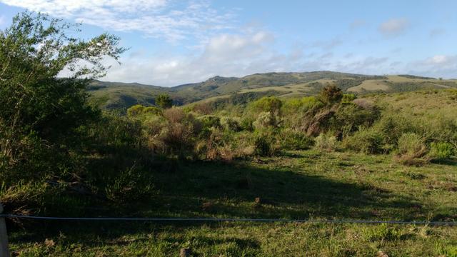 90 hectares de campo barato - Foto 2
