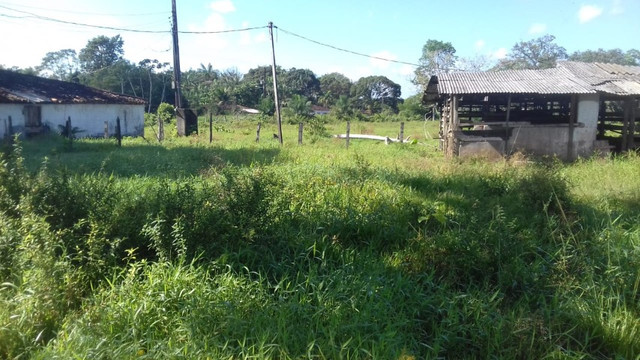 Sítio no Pará,20 hectares com pasto, curral, casa ,igarape por 250 mil reais - Foto 10