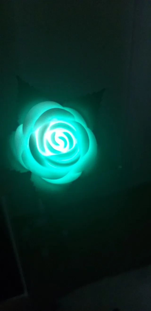 Decoração Rosa luminosa diversos tons - Foto 6