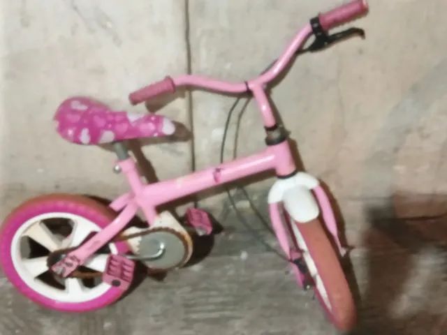 Bicicleta de criança e uma monarca 