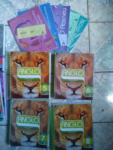 livros Anglo 2 Ano ensino médio completo - Foto 3