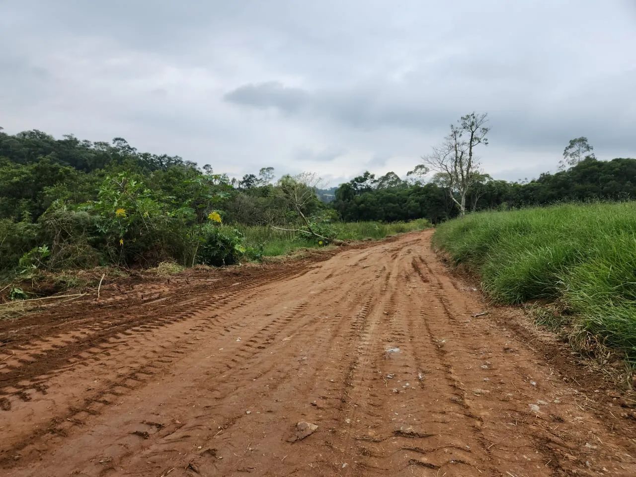 Terrenos com Preço Justo e Muito Potencial - Foto 5