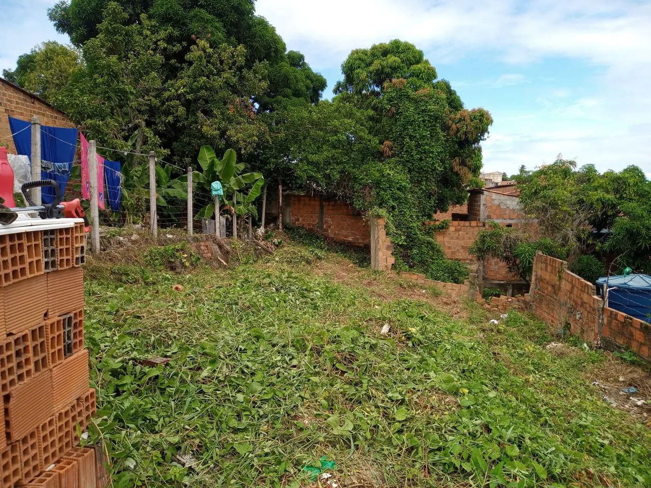 Terreno - Foto 4