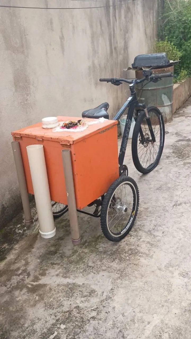 Bicicleta Triciclo