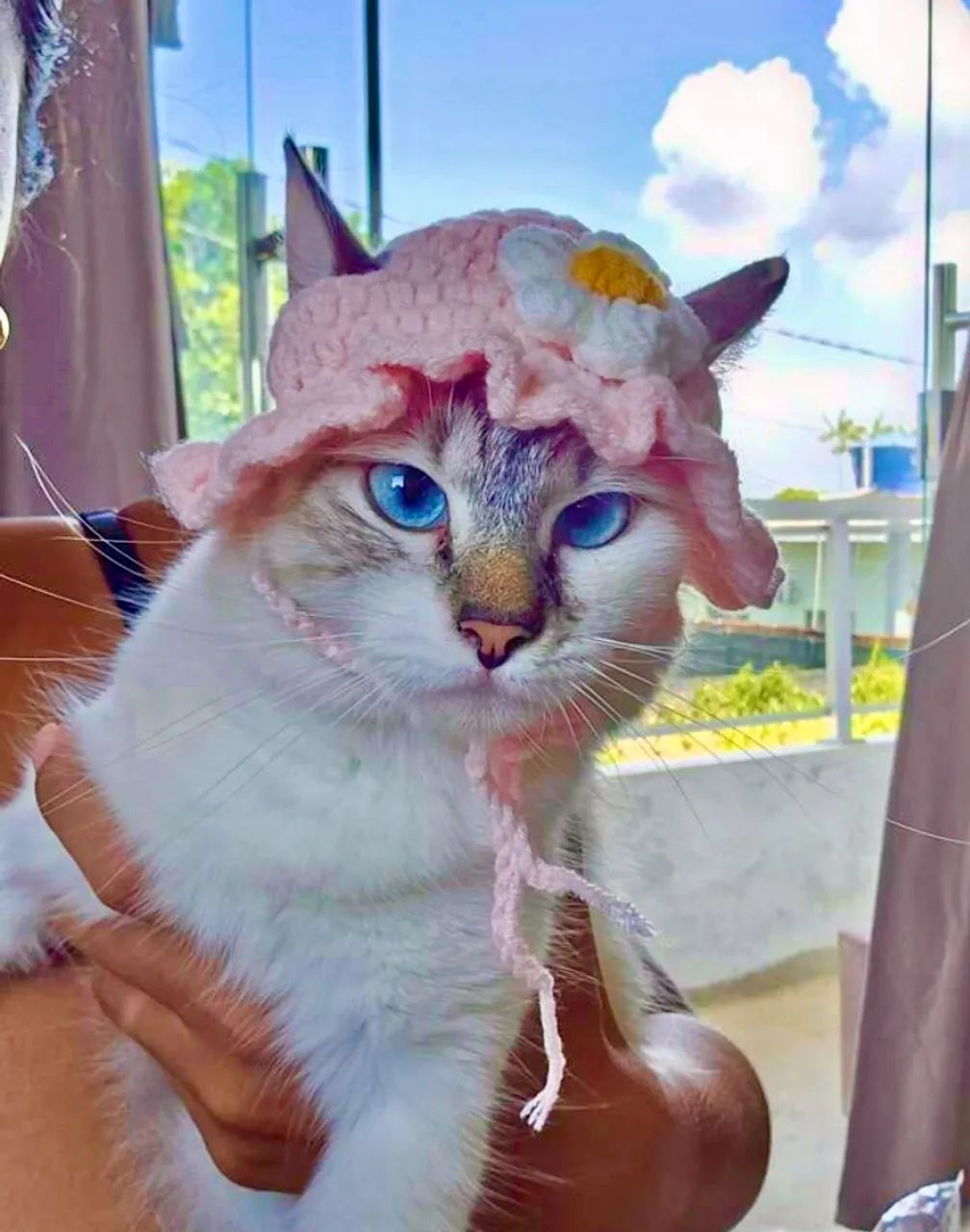 Chapeuzinho em crochê para pets $50