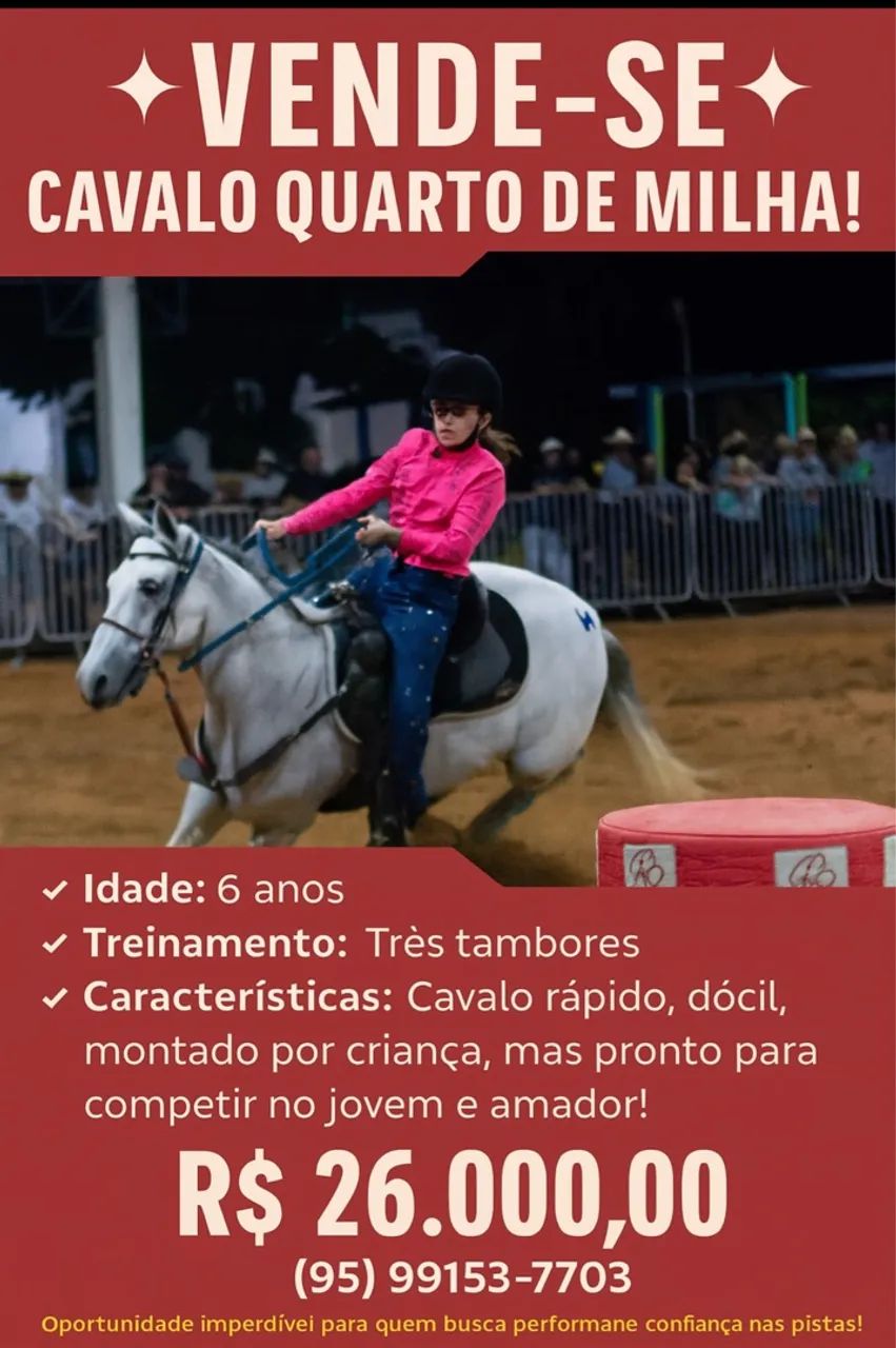 Cavalo Quarto de Milha - 6 anos