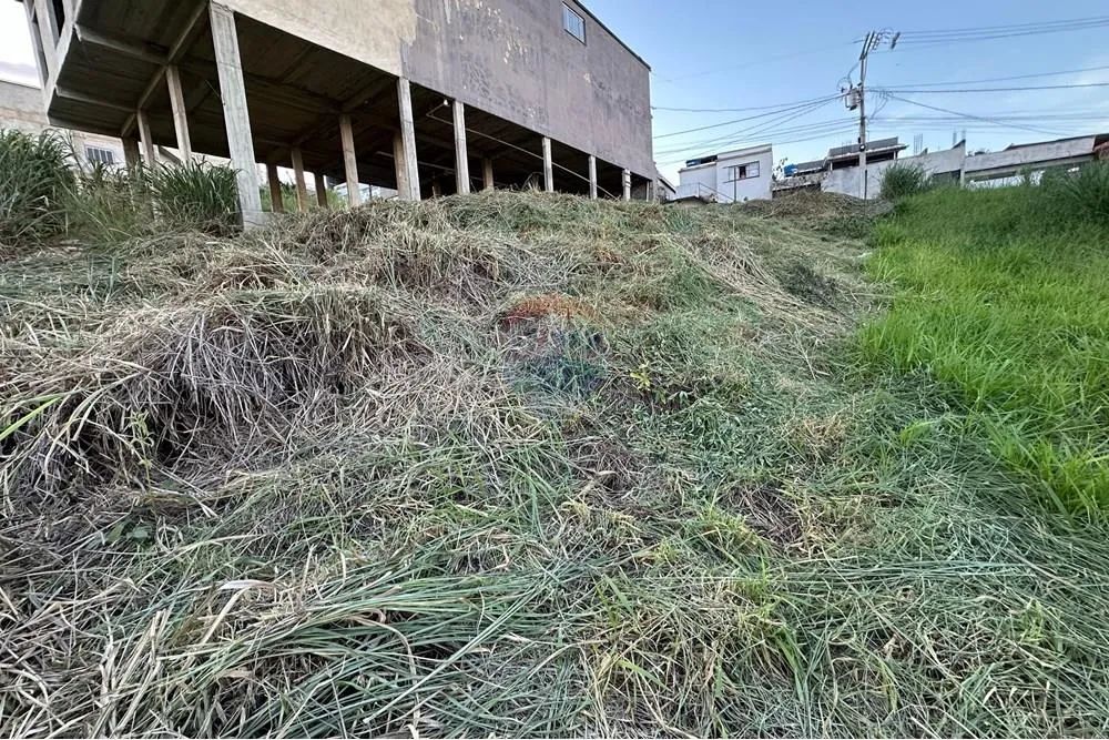TERRENO À VENDA NO BAIRRO JOÃO XXIII - MURIAÉ/MG - Foto 8