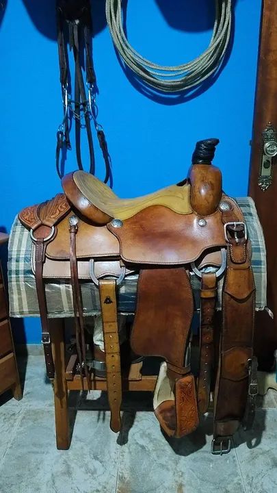 ÉGUA QM + SELA DE LAÇO  - Foto 4